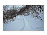 обкат Нормальный

Просмотров: 439
Комментариев: 