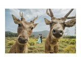 Название: Два её бывших
Фотоальбом: Разное
Категория: Разное
Описание: Сахалинский ланшафт

Просмотров: 169
Комментариев: 0