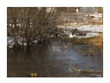 DSCF4929
Цапля возле  дач по дороге на Успенское-Анива

Просмотров: 685
Комментариев: 