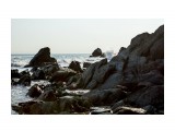 IMG_1748