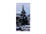 DSC07564

Просмотров: 299
Комментариев: 0