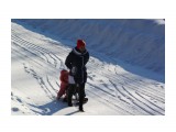 Зимние прогулки..
Фотограф: vikirin

Просмотров: 1602
Комментариев: 0