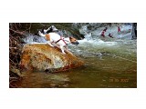 Ника.

Просмотров: 133
Комментариев: 0