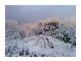 Первый снег 29 октября.. Пушистое утро
Фотограф: vikirin

Просмотров: 3451
Комментариев: 0