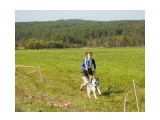 Шустрые лапы - 2014
Фотограф: фотохроник

Просмотров: 425
Комментариев: 0