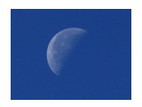 Утренняя луна
Фотограф: vikirin

Просмотров: 2733
Комментариев: 0