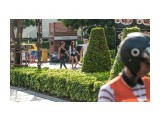 _NAV5803