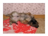 Тихий час
Фотограф: domovoi

Просмотров: 5655
Комментариев: 3
