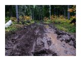 На мосту ползли...
Фотограф: vikirin

Просмотров: 3772
Комментариев: 0