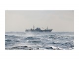 Морские картинки.

Просмотров: 248
Комментариев: 