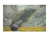 оригинал
Фотограф: © marka

Просмотров: 1298
Комментариев: 0